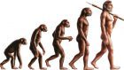 L’auto-addomesticamento come ipotesi dell’evoluzione umana