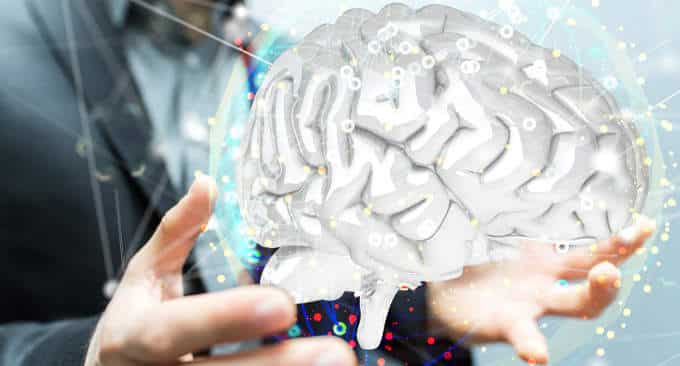 Un nuovo modello per lo studio del cervello: il “micro-cervello”