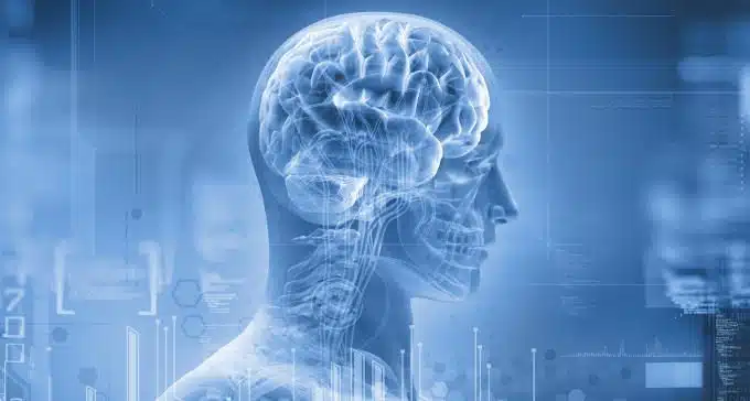 Durante i movimenti della testa quali aree cerebrali si attivano?