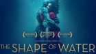 La forma dell’acqua oltre l’amore – Recensione del Premio Oscar 2018 di Guillermo del Toro