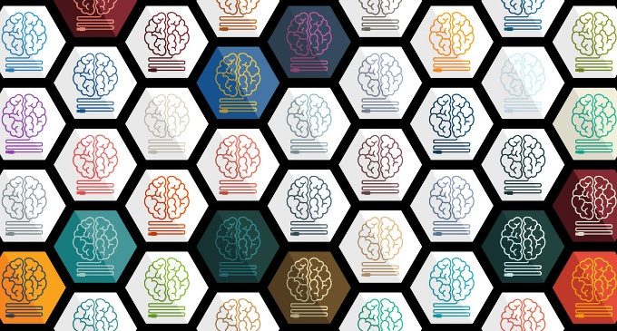 Il trasferimento di memoria tra diversi organismi: i primi esperimenti