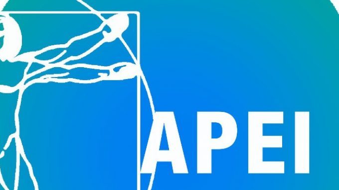 Il pedagogista e l’educatore a scuola. Intervista all’Associazione Pedagogisti Educatori Italiani (APEI)