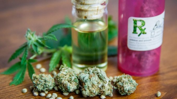 Cannabis: il confine tra benefici e danni