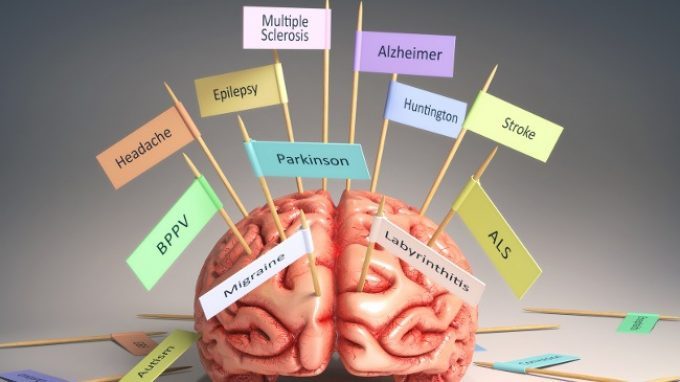 I Gangli della base – Introduzione alla Psicologia