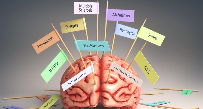 Gangli della base: anatomia e funzioni - Neuroscienze