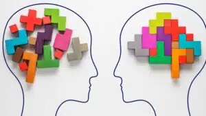 Socialità: il ruolo delle connessioni cerebrali - Neuroscienze