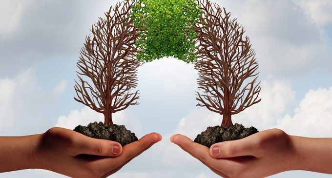 Cooperazione: tra i successi e i fallimenti del comportamento cooperativo