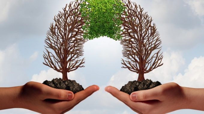 Cooperazione: tra i successi e i fallimenti del comportamento cooperativo