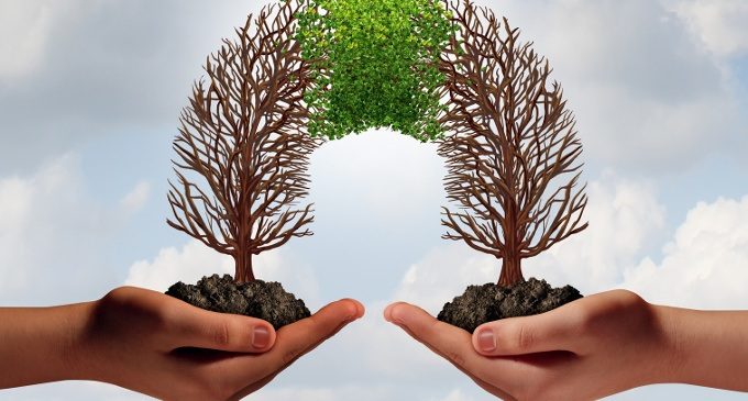 Cooperazione: le motivazioni e i vantaggi del comportamento cooperativo