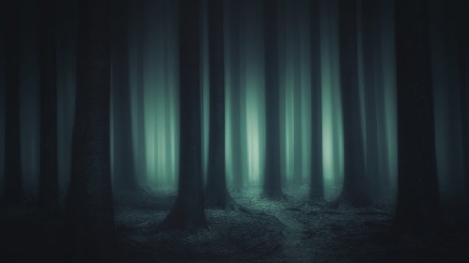 Disturbi della coscienza e grave cerebrolesione acquisita: classificazione e strumenti di valutazione