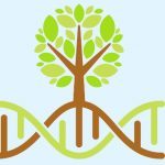 Epigenetica: come la psicoterapia modifica l'espressione genica