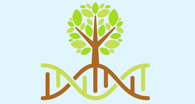 La vera forza della psicoterapia: il cambiamento epigenetico
