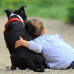Pet therapy e ADHD: effetti benefici sul trattamento psicoterapico