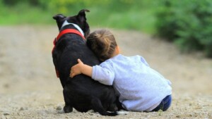 Pet therapy e ADHD: effetti benefici sul trattamento psicoterapico