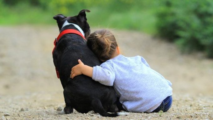 Pet therapy e ADHD: quando la vicinanza di un animale domestico può avere effetti benefici