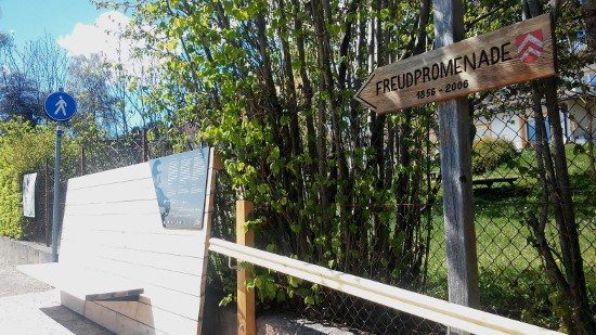 Freud Promenade un sentiero tra i monti per discutere di psicoanalisi 2