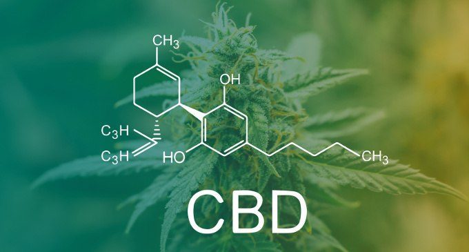 Cannabis: lo stato dell’arte dalla legislazione ai dati relativi all’uso e all’abuso