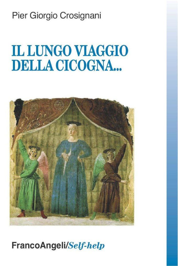 Il lungo viaggio della cicogna (2012) - Recensione del libro