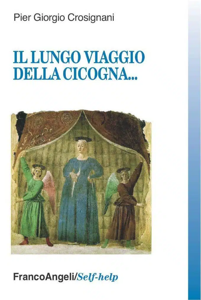 Il lungo viaggio della cicogna (2012) - Recensione del libro