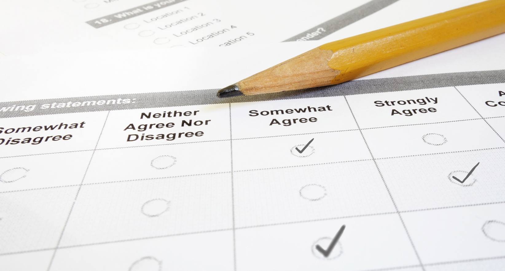 Soddisfazione Lavorativa - Job Satisfaction - Survey Questionario Ricerca