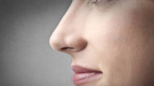 Inibizione, controllo degli impulsi e capacità olfattive: quale legame