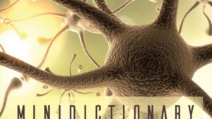 Minidictionary di A. Ganci e M. Calvaruso (2018) - Recensione