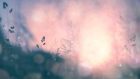 L’EMDR per il suicidio – Un racconto di Fantapsicologia