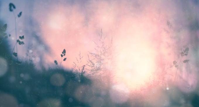 L’EMDR per il suicidio – Un racconto di Fantapsicologia