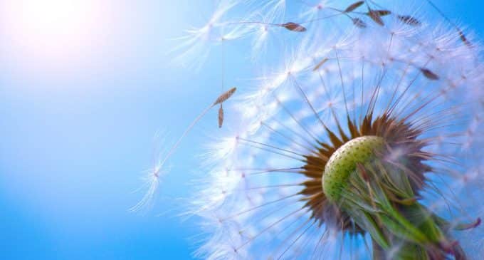 Obesità e depressione: verso un trattamento integrato - Psicoterapia