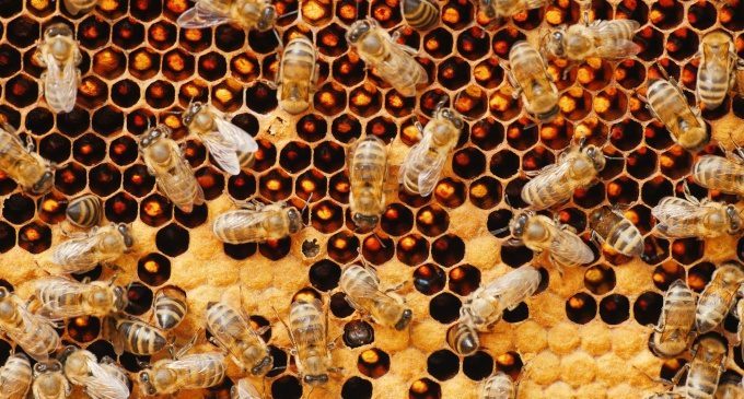 Antropologia del dono. Dal dono alla relazione