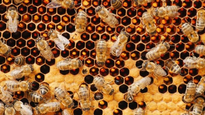 Antropologia del dono. Dal dono alla relazione
