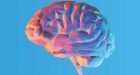 Cos’è la diattenuation imaging e quali sono i vantaggi di questa nuova tecnica di neuroimaging?
