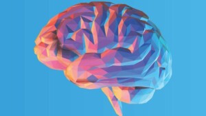Diattenuation imaging: una nuova tecnica di neuroimaging funzionale