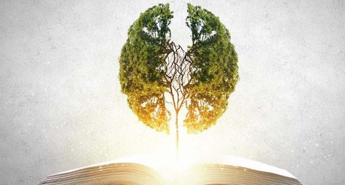Quando si dice “stare in un bell’ambiente”: la nuova promessa delle Neuroscienze