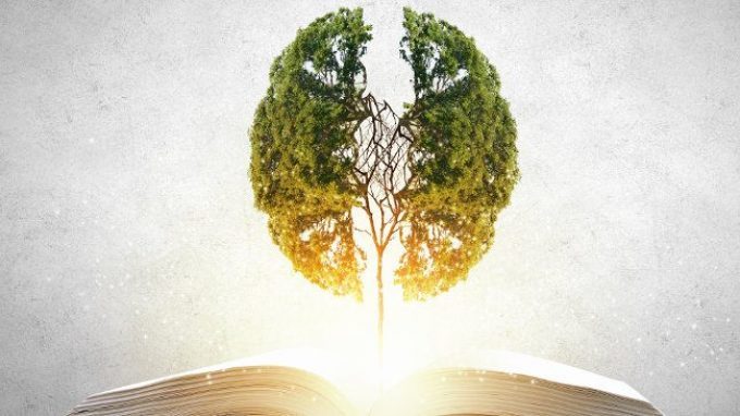 Quando si dice “stare in un bell’ambiente”: la nuova promessa delle Neuroscienze