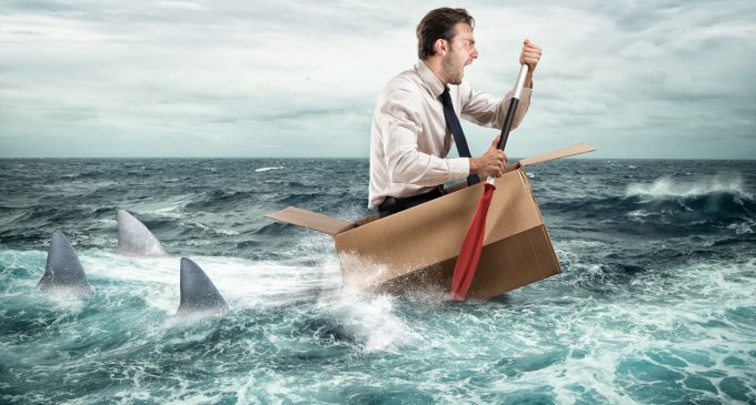 Dal meccanismo di attacco-fuga alla preoccupazione