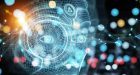 L’attività microcircuitale che sottende la coscienza