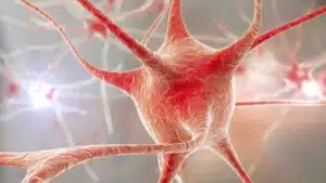 Neuroni e sinapsi artificiali: le nuove sfide dell'informatica neuromorfica