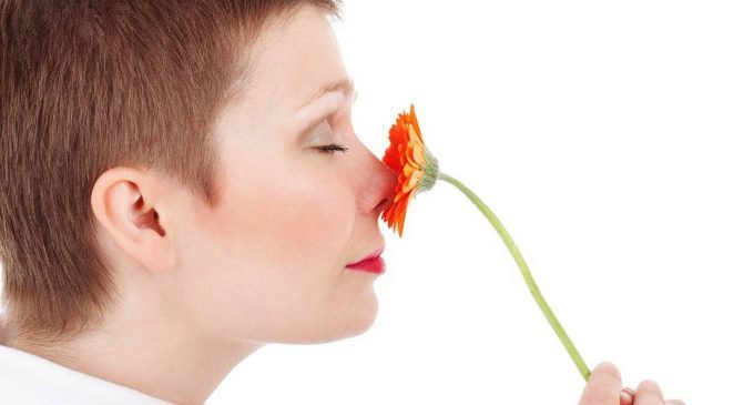 Il ruolo dell’olfatto nella relazione affettiva