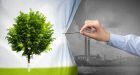 Inquinamento atmosferico: gli effetti sulla presenza di sintomi ansiosi nei preadolescenti