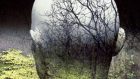 Sopravvissuti a disastri naturali mostrano disturbi del sonno e problemi legati alla salute mentale