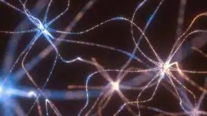 Optogenetica: uso e potenzialità di questo processo nelle Neuroscienze