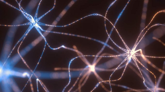 Attività microcircuitale in diretta: una svolta per le Neuroscienze