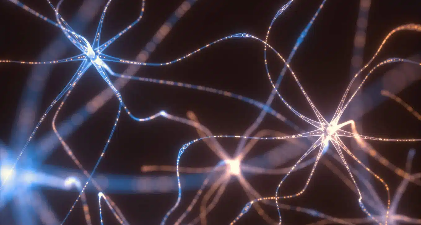 Optogenetica: uso e potenzialità di questo processo nelle Neuroscienze