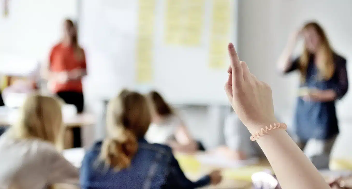 Gestione della classe e abilita relazionali un progetto formativo per docenti