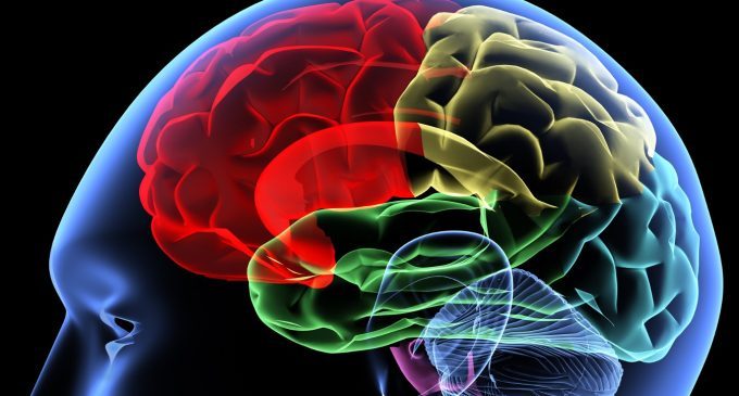 Il cervello degli assassini