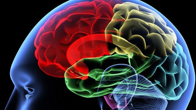 Il cervello degli assassini