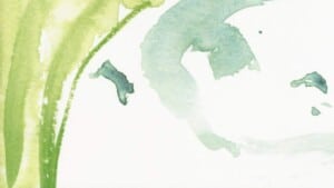 Il corpo e la riparazione del se - Recensione del libro di Silvia Ghiroldi