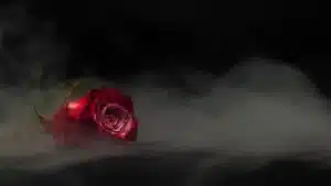 Amore e perversione: due dimensioni che non possono coesistere