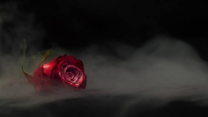 Quando l’amore diventa perversione